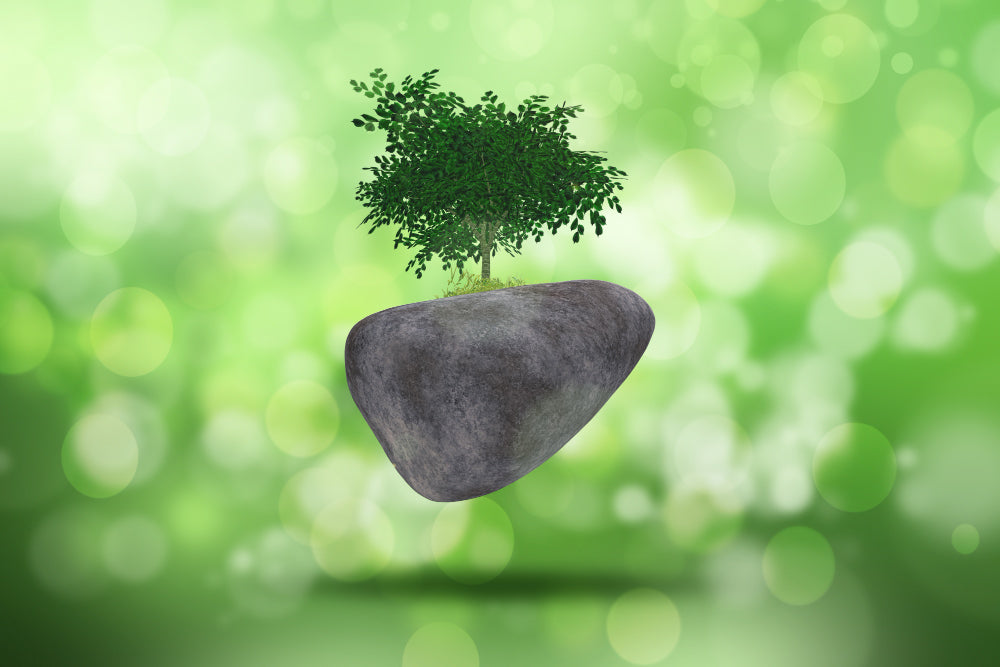Your Liver Works Overtime Every Single Day, Here's How to Actually Help It